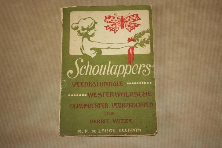 Schoulappers Westerwolde Oldambt... - 1914, Boeken, Geschiedenis | Stad en Regio, Gelezen, Ophalen of Verzenden