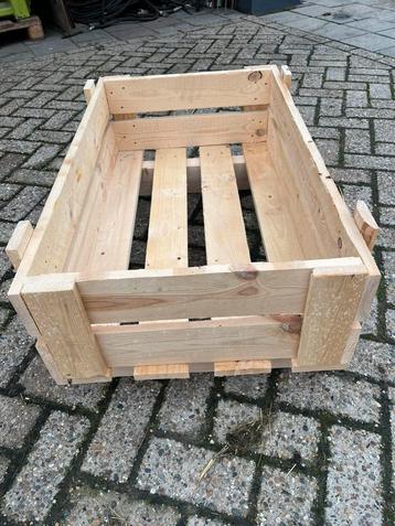 Leuke honden mand beschikbaar voor biedingen