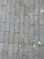 Gebakken waaltjes 31,5 m2, Tuin en Terras, Tegels en Klinkers, Ophalen, Gebruikt, 10 m² of meer, Klinkers