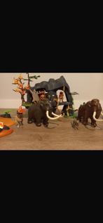 Playmobil grot, Kinderen en Baby's, Speelgoed | Playmobil, Ophalen of Verzenden, Gebruikt