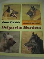 Pierlot - Belgische herders, Ophalen of Verzenden, Zo goed als nieuw, Paarden of Pony's, Pierlot