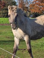 Verzorger gezocht, Dieren en Toebehoren, Ophalen of Verzenden