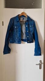 spijkerjasje Esprit, Blauw, Ophalen of Verzenden, Zo goed als nieuw, Maat 36 (S)