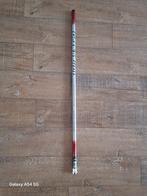 Vastehengel / Witvishengel - 3,80 Meter - Makkelijk Opbergba, Ophalen of Verzenden, Gebruikt, Overige typen