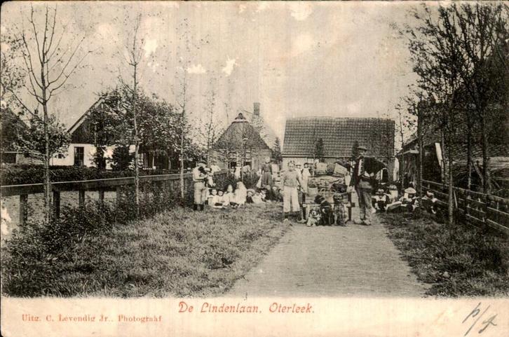 Oterleek - De Lindenlaan - Dorpsgezicht, Verzamelen, Ansichtkaarten | Nederland, Gelopen, Noord-Holland, Voor 1920, Ophalen of Verzenden