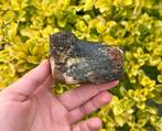 Teenkoot mammoet fossiel, Verzamelen, Mineralen en Fossielen, Ophalen of Verzenden, Fossiel