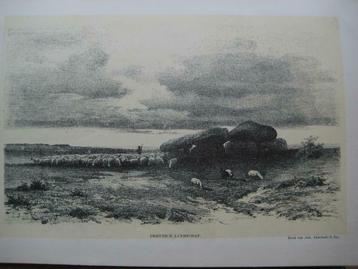 99 /  Drenthe Drentsch landschap  Litho 1876 beschikbaar voor biedingen