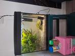 Aquarium compleet met vissen teab, Ophalen, Gebruikt, Gevuld zoetwateraquarium