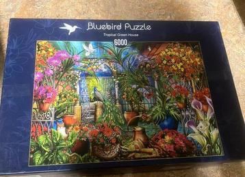 Bluebird puzzel 6.000 stukjes  beschikbaar voor biedingen