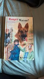 H. Kan Hemmink - Wat nu?, Boeken, Kinderboeken | Jeugd | 10 tot 12 jaar, Ophalen of Verzenden, Zo goed als nieuw, H. Kan Hemmink
