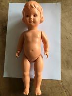 Wildebras pop, Ophalen, Gebruikt