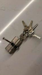 Cilinder met 5 sleutels merk DOM SKG**, Ophalen, Gebruikt, Rvs, Slot