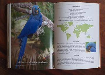 CITES IUCN Broeden voor behoud 1 en/of 2 papegaaien  etc  beschikbaar voor biedingen