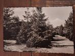 Fotokaart Norg - Oosterduinen - 1960, Ophalen of Verzenden, 1940 tot 1960, Gelopen, Drenthe