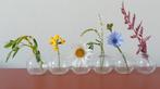 SERAX glazen kettingvaasje kandelaar, Ophalen of Verzenden, Overige kleuren, Glas, Minder dan 50 cm