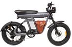 E-BIKE DIABLO FAT BOY 20"/Universeel/15,6AH 48V 748,8WH, Fietsen en Brommers, Elektrische fietsen, Overige merken, 9713 Bv Groningen