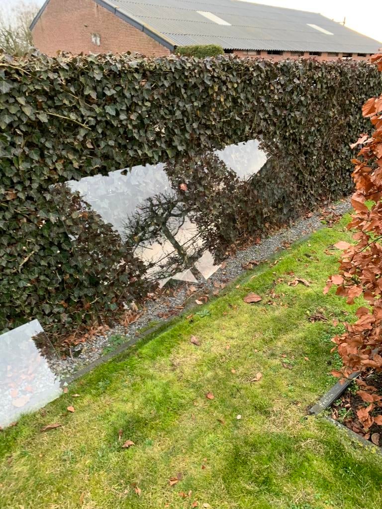 Glasplaat 8 mm dik. 1.10 m x. 2,40 m. Gratis, Ophalen of Verzenden, Zo goed als nieuw