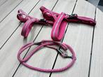 Hurtta activity tuig met riem maat 80&100, Dieren en Toebehoren, Ophalen of Verzenden, Hondenriem-accessoire