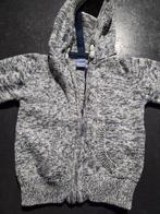 Dopodopo vestje maat 56, Kinderen en Baby's, Babykleding | Maat 56, Ophalen of Verzenden, Zo goed als nieuw, Dopodopo, Truitje of Vestje