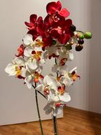 Orchideeën 3 takken zijden bloemen evt in glazen vaasje, Ophalen of Verzenden, Zo goed als nieuw, Binnen