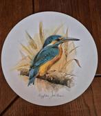 IJsvogel plaat - Nieuw, Ophalen of Verzenden, Nieuw, Overige typen