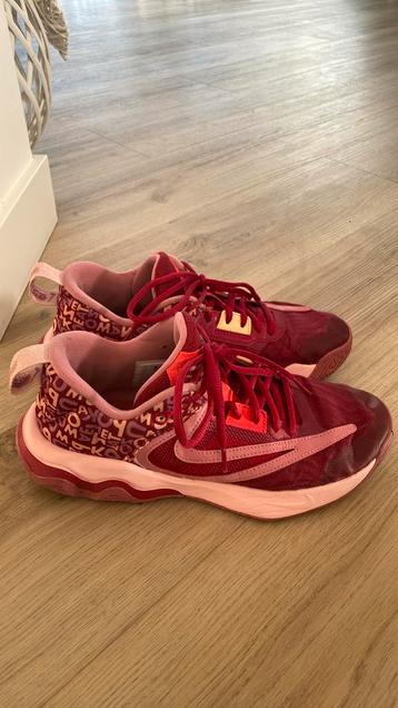 Super mooie basketbalschoenen van Nike beschikbaar voor biedingen
