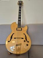 Ibanez PM100, Ophalen, Gebruikt, Hollow body, Ibanez