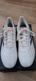 Zaalschoenen van adiddas maat 45., Sport en Fitness, Voetbal, Ophalen, Zo goed als nieuw, Schoenen