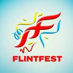 Flinfest ticket vrijdag 13 februari, 33 - 40 uur, Overige niveaus, Vanaf 10 jaar, Overige vormen