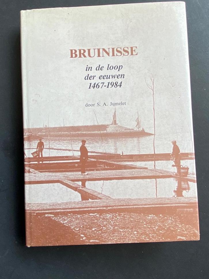 Bruinisse in de loop der eeuwen 1467-1984, Boeken, Geschiedenis | Stad en Regio, Zo goed als nieuw, 20e eeuw of later, Ophalen of Verzenden