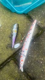 Visaas, Karper of Koi