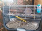 Mooi hamsterhok!, Dieren en Toebehoren, Knaagdieren en Konijnen | Hokken en Kooien, Minder dan 75 cm, Zo goed als nieuw, Hok, Ophalen