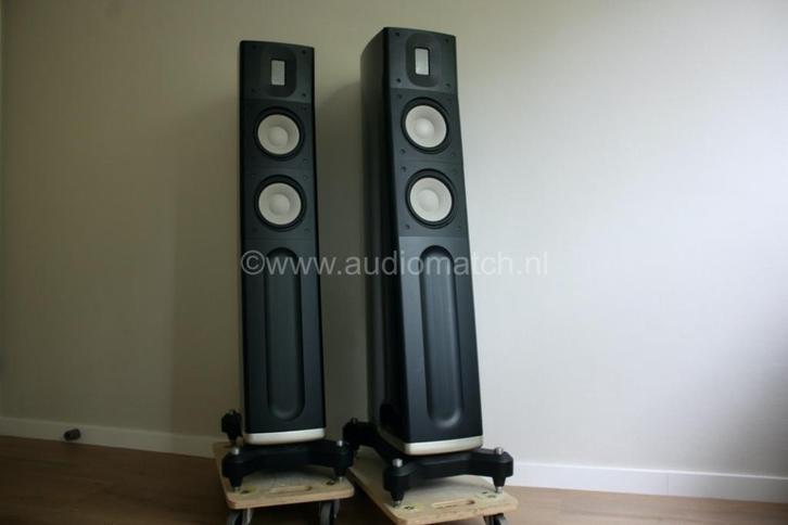 Raidho C-2, Audio, Tv en Foto, Luidsprekers, Gebruikt, Front, Rear of Stereo speakers, 120 watt of meer, Overige merken, Ophalen