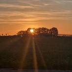Stal/Weiland met schuilstal gezocht voor pony, Dieren en Toebehoren