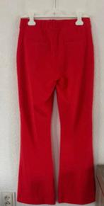 Studio Anneloes Rode bonded flair broek, maat M, Maat 38/40 (M), Ophalen of Verzenden, Lang, Gedragen