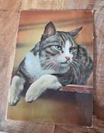 Mooie kat, Verzenden, 1980 tot heden, Gelopen, Hond of Kat