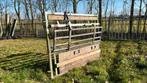 Voerhek schapen / kalveren/ runderen, Schaap