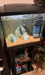 Aquarium + meubel, Dieren en Toebehoren, Ophalen, Gebruikt, Gevuld zoetwateraquarium