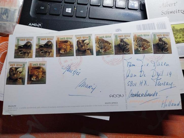Grote briefkaart Zuid-Afrika met postzegels uit 2001, Postzegels en Munten, Brieven en Enveloppen | Buitenland, Briefkaart, Verzenden