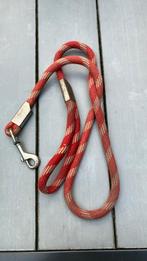 Halstertouw, gebruikt maar in goede conditie., Dieren en Toebehoren, Ophalen of Verzenden, Gebruikt