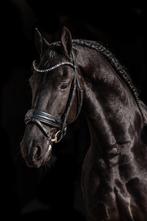 Bijrijder gezocht omgeving Utrecht, Ophalen of Verzenden, Nieuw