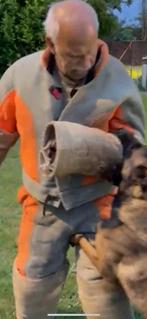 Mechelse herder teef afgerichte politiehond & bewakingshond, Nederland, Rabiës (hondsdolheid), Meerdere, Meerdere dieren