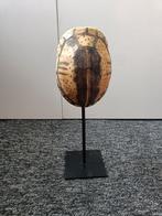 Kunst schildpad op standaard van HK Living, Huis en Inrichting, Ophalen of Verzenden, Gebruikt