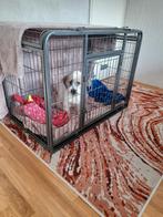 Hondenbench. Maat L was155.00 bij bol .com, Dieren en Toebehoren, Hondenhokken, Ophalen, Zo goed als nieuw, Minder dan 75 cm, Minder dan 65 cm