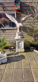 tuin beeld adelaar, Ophalen, Gebruikt, Beton, Dierenbeeld
