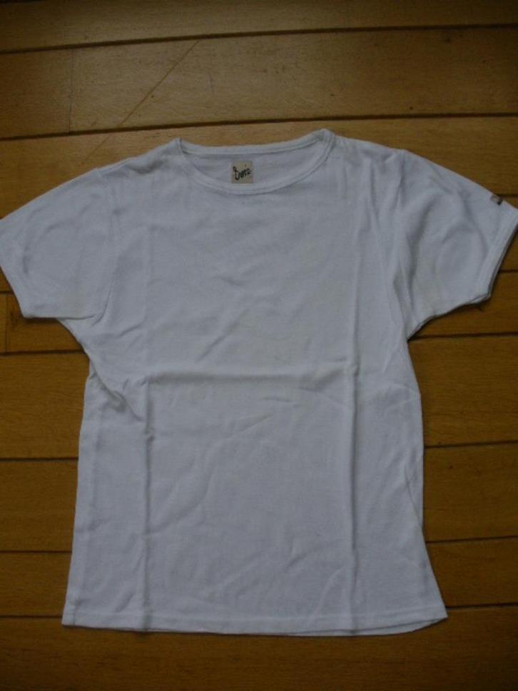 BERRIC t- shirt wit maat S, Kleding | Heren, T-shirts, Maat 46 (S) of kleiner, Wit, Ophalen of Verzenden