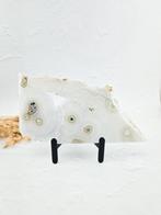 Witte mosagaat schijf druzy steen edelsteen, Verzamelen, Mineralen en Fossielen, Ophalen of Verzenden, Mineraal