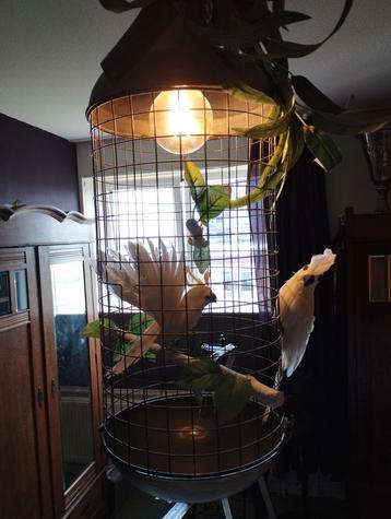 Lamp met foam vogels 