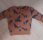 Babytruitje, Truitje of Vestje, Ophalen of Verzenden, Zo goed als nieuw, Prenatal