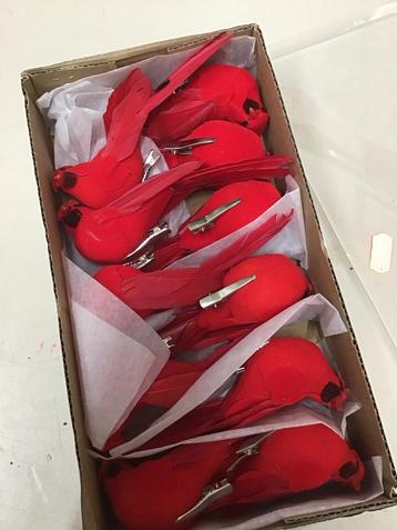 Rode Kardinaal Vogel Decoratie - Set beschikbaar voor biedingen